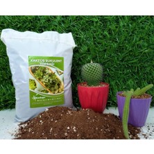 Toprağı 3 Lt Sukulent Toprağı Aloe Vera Toprağı Ithal Torf Pomza Perlit Vermikulit Karışımı