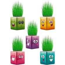 Adam Çimoji 32'li Renkli Küp Şeklinde Çimadam Çimoji