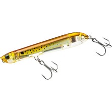 3b Kıyı Yapay Balık Yemi