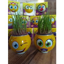 Çimoji 40'lı Tek Tek Kutulu Eğitici Hediyelik Oyuncak Çimadam Çimoji