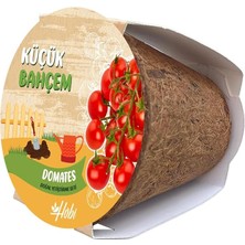 Bahçem Çeri Domates Tohumu Yetiştirme Seti