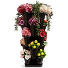 Katlı Şanslı Yonca Kule Saksı Seti Çiçek Bitki Sebze Meyve Salon Mutfak Banyo Bahçe Saksı Seti (Siyah)