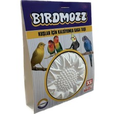 Vento Store Birdmozz Kuşlar Için Xl Büyük Boy Kalsiyumlu Gaga Taşı