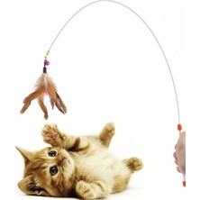 Vento Store Kedi Oltası Oyun Çıngıraklı Renkli Boncuklu ve Tüylü Kedi Oyun Oltası, 90 cm Uzunluk, Interaktif ve