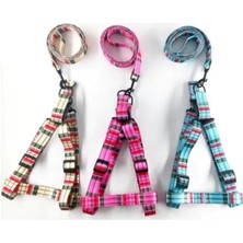 Vento Store Ayarlanabilir Göğüs Tasma Seti Mavi M 1.5X120 cm