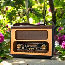 Retro Radyo Taşınabilir Bluetooth Speaker ve Hoparlör Tarzı Iç ve Dış Mekan Multiband USB Girişli De