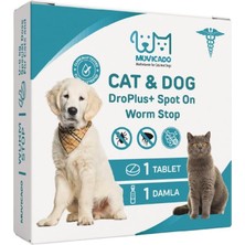 Vento Store Kedi Köpek Worm Stop Iç Dış Tablet Seti