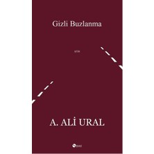 Şule Yayınları Gizli Buzlanma