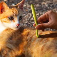 Evcil Hayvanlar Için Etkili ve Kolay Kullanım Sunan 2 Adet Kene Çıkarıcı Kanca