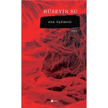 Şule Yayınları Ana Üşümesi