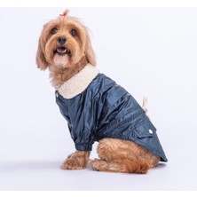 Shop A Way Pawstar Blue Brillante Su Itici Küçük Irk Köpek Yağmurluğu (Xl)