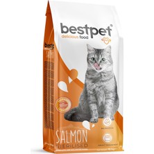 Shop A Way Bestpet Yavru Kediler Için, Tavuk Etli ve Pirinçli Kuru Mama 15 kg