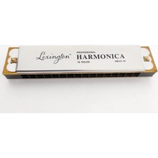 Shop A Way LMHM0116 Mızıka 16 Delik Profesyonel Harmonica Kutulu