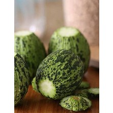 Shop A Way Erdem Garden Doğal Turşuluk Kavun Kelek (Hıdır) 100 Ad. Tohum