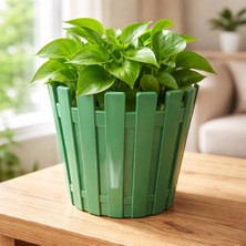 Poliva Home Akasya Pastel Saksı 1 Litre 14 cm Plastik Drenaj Izgaralı Çiçek Saksısı Katüs Skulent Saksı