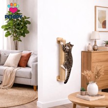 Bastion - Petody Doğal Ahşap Duvara Monte Kedi Tırmala