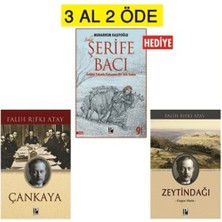 Pozitif Yayınları Zeytindağı - Çankaya - Şerife Bacı Seti 3 Al 2 Öde (1 Kitap Hediye)