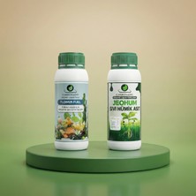 Carbonado Sıvı Bitki Besini 1 L + Jeohum Hümik Asit 1 L Destek Paketi