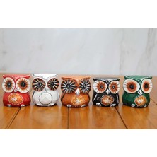 Erseyy Ahşap 5'li Baykuş Seti