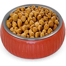 Mikopet Organik Seramik Mama Kabı Kiremit