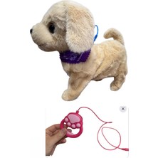 Kumandalı Tasmalı Yürüyen Havlayan Sevimli Köpek