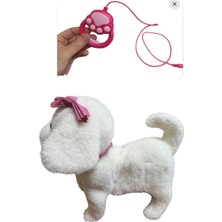 Kumandalı Tasmalı Yürüyen Havlayan Sevimli Köpek