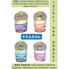 Wintoup Premium Konsept Hediyelik Biblo Dekoratif Ev Ofis Çok Şık Kapibara Tasarımlı Işıklı Kar Küresi