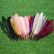 Bidoluhobi Kuş Tüyü Renkli 100 Adet