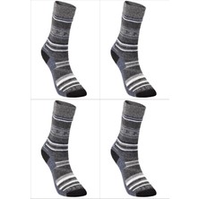 Evolite Nord Merino Çorap-Mavi 4'lü Set