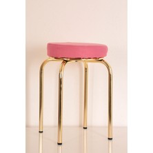 Berawond 4 Adet Pembe Tay Tüyü Altın Profil Tabure Metal Tabure Mutfak Taburesi Kalın Tabure