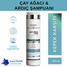 Elysian Essence Çay Ağacı & Ardıç Şampuanı | Copper Peptidli Kepek Karşıtı Saç Bakımı 300 ml
