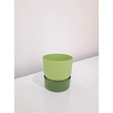 Poliva Home 2 Adet 1,25 Litre Ixora Saksı Tabaklı Çiçek Kaktüs Saksısı Dekoratif Plastik Saksı