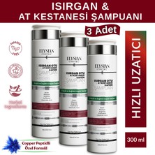 Elysian Essence Isırgan Otu & At Kestanesi & Kafein Şampuanı 3 Adet | Copper Peptidli Hızlı Saç Uzatma Uzatan Etkili 300 ml