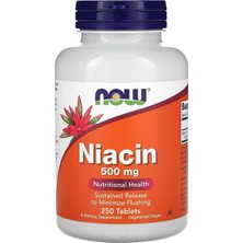 Now Foods Niacin, 500 Mg, 250 Tablet