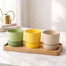 Poliva Home 3 Adet 3 Litre Karışık Ixora Saksı Dekoratif Tabaklı Çiçek Saksı