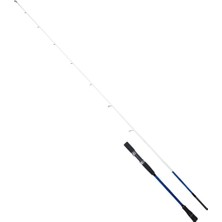 Ryuji Big Game Fuji Sp 203CM 60-140GR 2 Parça Jig ve Tekne Olta Kamışı
