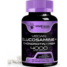 Wellness Labsrx Glucosamine Chondroitin Msm - 4000MG 120 Tablet
