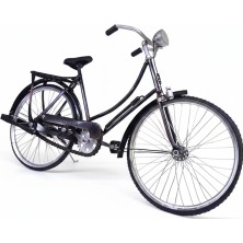 Elit Dekoratif Demir Bisiklet