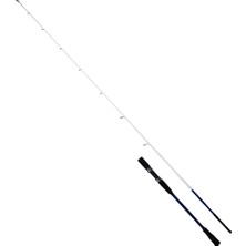 Ryuji Big Game Fuji Sp 2.03M 60-140GR 2p Jig Olta Kamışı