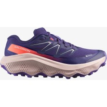 Salomon Ultra Flow 2 Gtx