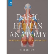 Storemax Basic Human Anatomy: An Essential Visual Guide For Artists