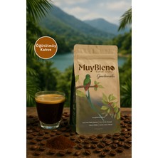 Muybieno Coffee Muybieno Guatemala Huehuetenango Öğütülmüş Filtre Kahve 250 gr.