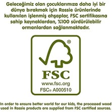 Rossie 48107 Mıknatıslı Çiftlik Figürleri, Çok Renkli