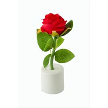 Marsilyan Gül Işıklı Biblo 17 cm