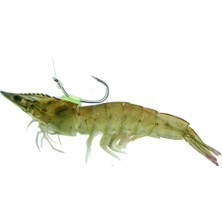 Anchor Glow Karides Aparatı 25 Li Paket