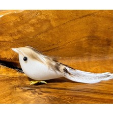 Gerçek Görünümlü Dekoratif Kuş Biblo  Ev Ofis Masa & Pasta Süsü