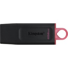 Kingston 256GB Usb3.2 Gen1 Datatraveler Exodia (Black + Pink)