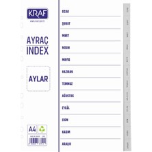 Hype Store Seperatör Dosya Ayracı Aylar