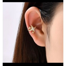 İTHAL Çelik Yıldız Detaylı Kıkırdak Küpesi, Altın Rengi,zirkon Taşlı