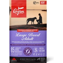 Hype Store Orijen Adult Large Breed Dog 11,4 Kg- Büyük Irk Yetişkin Köpekler Için